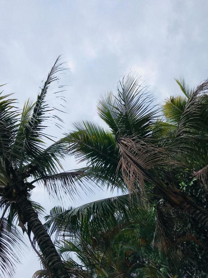 Chacara Recanto Paraiso Jarinu Esterno foto