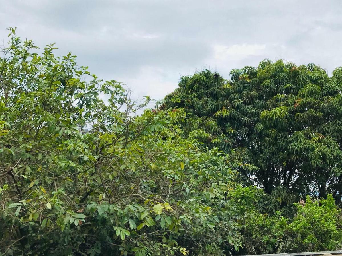 Chacara Recanto Paraiso Jarinu Esterno foto